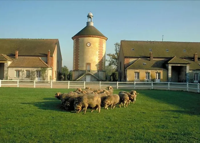 Gite De L\'Alisier - Rambouillet -