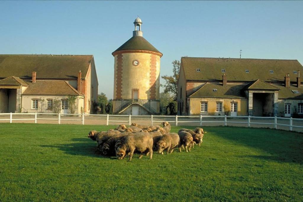 De L'alisier - - Rambouillet