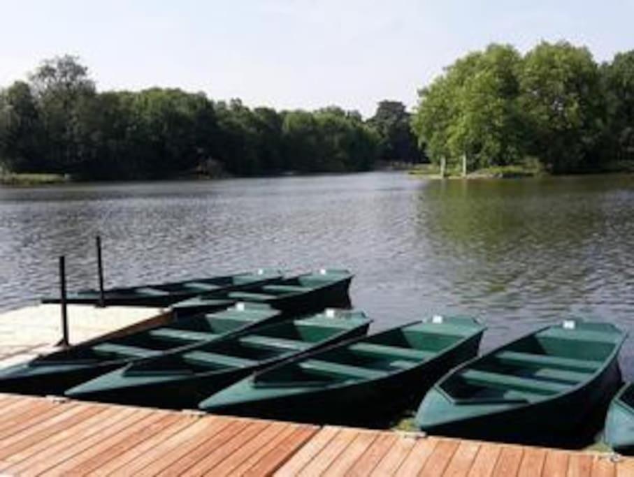 De L'alisier - - Holiday home *